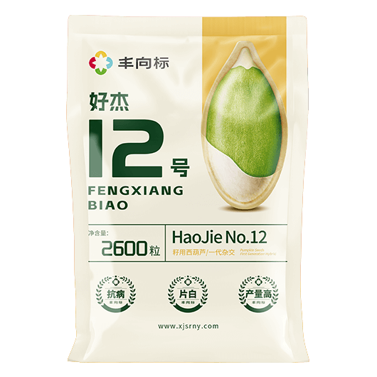 好杰12号