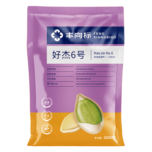 好杰6号